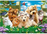 Mosaico Diamantato, Ricamo 30X40 Cani E Gatti Linea Flamingo