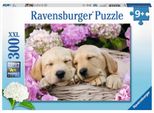 Ravensburger 13235 Ravensburger Xxl SüßE Hunde Im KöRbchen Puzzle 300 Teile