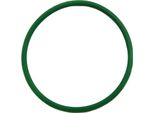 O-Ring Del Filtro Di Aspirazione Grande AP15OS 220936 Agroplast