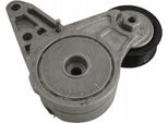 Volvo S80 V70 Tenditore Cinghia Trapezoidale 1.6T Oe