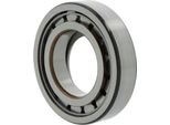 Cuscinetto A Rulli Cilindrici NUP317 Ecj Id 85Mm Od 180Mm Width41Mm Skf