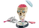 Clementoni Science Fun Crazy Anatomy 50697