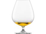 Schott Zwiesel Cognac Xxl Bar Special 4 StüCk 123633