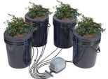 Sistema Di Coltivazione Idroponica Dwc Sistema Di Coltivazione Ad Acqua Profonda 20L 4X Secchio