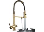 Rubinetto Da Cucina Ad Acqua Filtrata, Design A Doppia Maniglia, Funzione Spray Estraibile, Oro Spazzolato