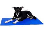 Tappetino Rinfrescante Lionto, Gradevole Raffreddamento Per Cani E Gatti, Auto-Raffreddante E Sicuro, Ideale Per L'estate E I Viaggi, 100X60 Cm, Blu