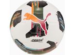 Palloni Puma Orbita 5 Fusion 08433101