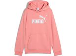 Puma Ess No. 1 Logo Felpa Con Cappuccio Teenager Rosa 140