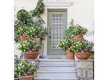 6 Mazzi Di Fiori Artificiali Da Balcone Fiori Artificiali Resistenti Alle Intemperie Piante Artificiali Da Esterno Bouquet Piante Da Balcone Resistenti Ai Raggi Uv Come Vere Per Balcone Box Giardino Interno Esterno (Tipo