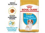 Royal Canin Breed Cavalier King Charles Junior 1,5 Kg