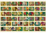 Puzzle D-TOYS: Elefanti 1000 Pezzi