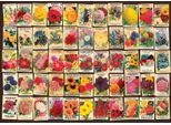 D-Toys Puzzle Vintage Collage Blumen 1000 Teile Jigsaw Puzzle