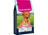 eukanuba Nourriture SèChe Pour Chien, Senior, Grand, Agneau 12 Kg