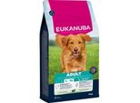 eukanuba Croquettes Pour Chien, Adulte, Grande Taille, Agneau 12 Kg