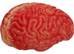 Cervello Insanguinato - Dimensioni Umane