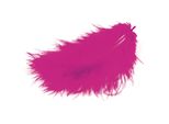 Piume Meyco Marabu Fucsia 17 Pezzi Lunghi Da 10 A 12 Cm Circa