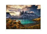 Heye - Guanacos Standard 1000 Pezzi