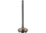 Febi Bilstein 181076 Valvola Di Aspirazione Per Vw Golf V Hatchback (1K1) Ø33,8 Mm Piattello Ø6 Mm Stelo