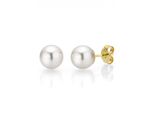 Paar Ohrstecker Firetti "Schmuck Geschenk Gold 375 Ohrschmuck Perle Verschiedene GrößEn" Gr. 8, Gold (Gelbgoldfarben, Weiß), Ohrringe, Damen, 8, Gelbgold 375 Perlen, Gelbgold 375, Perlen, Made In Germany - Mit SüßWasserzuchtperle