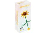 Brixies Plus Astrantia Gelb (*) (*) Stk