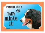 Cane Da Guardia Dafiko, Cane Da Montagna Bernese