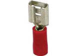 Carpoint Manicotto Connettore Piatto 541 Rosso 6,3X0,8 Mm 10 Pezzi