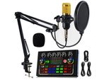 Aiorber Scheda Audio Live Multifunzionale Con Effetti Vocali, Interfaccia Audio Per Podcast, Streaming E Registrazione, Set Completo Di Microfono - Oro