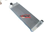 Intercooler, Struttura In Alluminio, Dimensioni Del Nucleo 244 Mm X 635 Mm X 60 Mm, Dimensioni Complessive 302 Mm X 795 Mm X 110 Mm, Ingresso/Uscita 50 Mm, Compatibile Con Renault Megane 225 Turbo