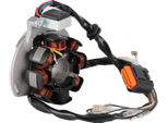 Statore Di Accensione, Adatto A Gas Gas EC125 2005-2006, EC200 2005-2011, EC250 2005-2011, EC300 2005-2011, Ricambio Numero ME250534005
