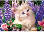 Mosaico Diamantato, Ricamo 30X40 Linea Kitten Flamingo