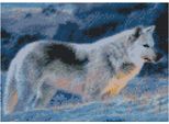 Mosaico A Diamante, Ricamo 30X40 Linea Wolf V1 Flamingo
