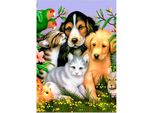 Mosaico Diamantato, Ricamo 30X40 Animali Cani E Gatti Linea Flamingo