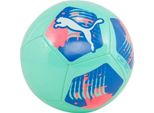 Palloni Puma 8421413