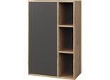 Vicco Libreria Da Parete Berno, 50.1 X 78.4 Cm Con 3 Scomparti Aperti, Quercia Dorata/Antracite