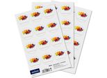 Orion | Etichette Autoadesive - 3,5 Cm - 36 Pezzi - Motivo Frutta - Carta Laminata