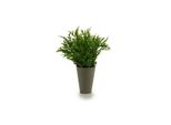Vaso Per Piante Ibergarden Verde Plastica 13 X 25 X 13 Cm
