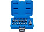 Set Di Bussole Con Esagono Cavo | Azionamento Quadro 6,3 Mm (1/4") / 10 Mm (3/8"") / 12,5 Mm (1/2"") | Esagono Cavo 2 - 14 Mm | 13 Pz."