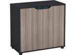 Credenza Compatta In Legno Con Ante Nere E Marroni, Mobile Moderno Con Spazio Di Archiviazione Per L'ufficio