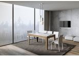 Itamoby - Tavolo Allungabile 160/220X90 Cm Cico Mix Piano Bianco Frassino - Base Quercia Natura