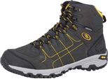 Cavallo Da Tiro Mount Shasta High 46