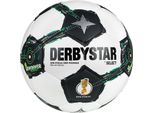 Palloni Derbystar Dfb Brilliant Replica 1582500025