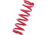 Molla Ammortizzatore Yss Rossa 64-66-54-240