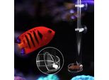 Alimentatore Dell'acquario, Tubo Di Alimentazione Dell'acquario, Alimentatore Del Serbatoio Di Pesce, Tubo Di Alimentazione Del Serbatoio Di Pesce, Accessorio Del Serbatoio Di Pesce
