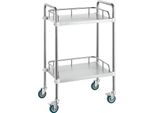 Carrello Da Laboratorio, Carrello A 2 Ripiani In Acciaio Inox, Carrello Di Servizio Da Laboratorio Con Ruote Girevoli, Carrello Dentale Per Clinica, Laboratorio, Ospedale, Salone, 385 X 548 X 865 Mm
