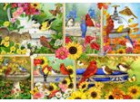 Puzzle Dell'uccellino Azzurro Puzzle Di Piume E Società - 1000 Pezzi