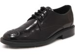 N4175 Scarpa Allacciata Uomo Tod's Bucatura Fiore Man Shoes