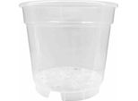 Siena Garden Vaso Per Orchidee 12 Cm Trasparente