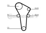 Set Di Cinghie Di Distribuzione Contitech Ct899K1