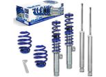 Il Set Di Sospensioni Coilover Blueline Va/Ha è Adatto Alla Serie 3 E46 A 4 E 6 Cilindri E Ai Modelli Touring Del Periodo 1998-2005