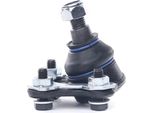 Giunto Sferico Delphi Per Vw Golf Iv Hatchback (1J1) TC824